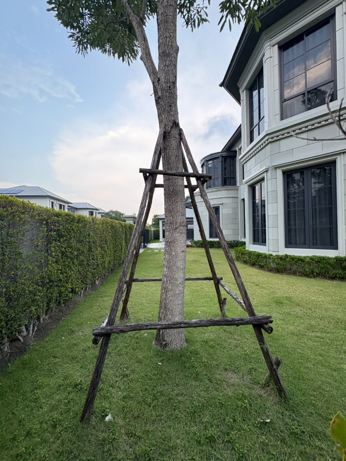 รูป 🏡✨ ให้เช่า – Narasiri กรุงเทพกรีฑา ✨🏡 - รูปที่ 75/76