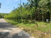 listing thumbnail image 22