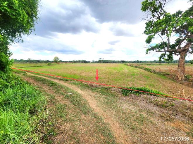 รูป ที่ดินว่างเปล่า 1522.1 ตร.วา โกสุมพิสัย มหาสารคาม 571,000 - รูปที่ 1/24