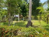 listing thumbnail image 16