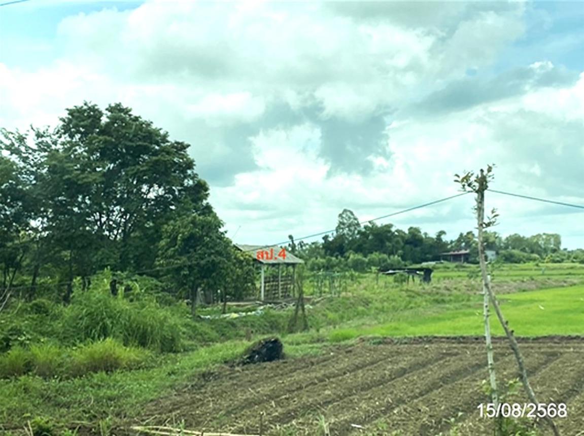 รูป บ้านเดี่ยว 4000 ตร.วา โกสุมพิสัย มหาสารคาม 4M - รูปที่ 14/22