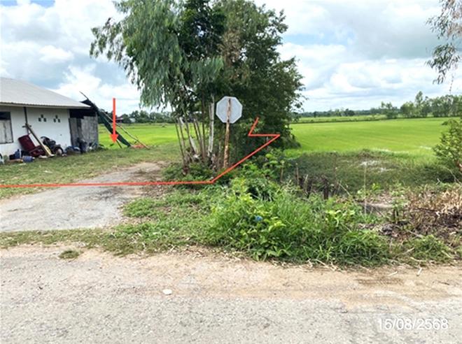 รูป บ้านเดี่ยว 4000 ตร.วา โกสุมพิสัย มหาสารคาม 4M - รูปที่ 7/22