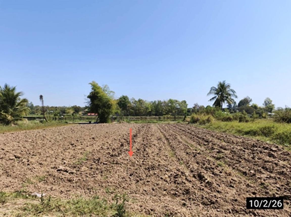 รูป ที่ดินว่างเปล่า 212.4 ตร.วา เมืองขอนแก่น ขอนแก่น 850,000 - รูปที่ 14/20
