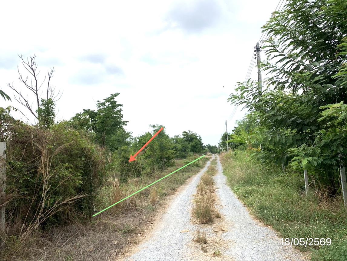 รูป ที่ดินว่างเปล่า 1600 ตร.วา หนองหญ้าไซ สุพรรณบุรี 1.6M - รูปที่ 10/20