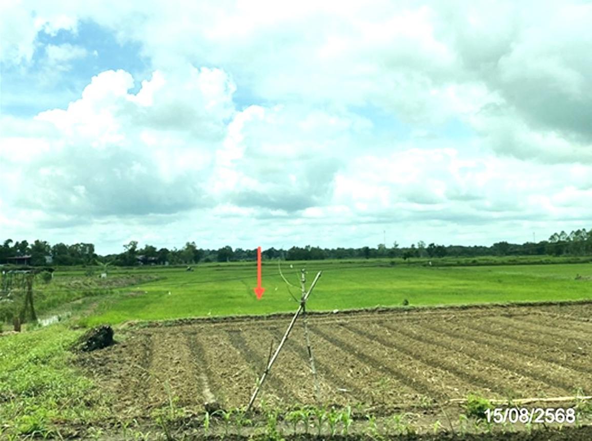 รูป บ้านเดี่ยว 4000 ตร.วา โกสุมพิสัย มหาสารคาม 4M - รูปที่ 17/22