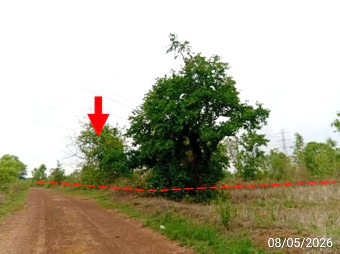 รูป ที่ดินว่างเปล่า 3424 ตร.วา เมืองอุดรธานี อุดรธานี 5.2M - รูปที่ 10/20