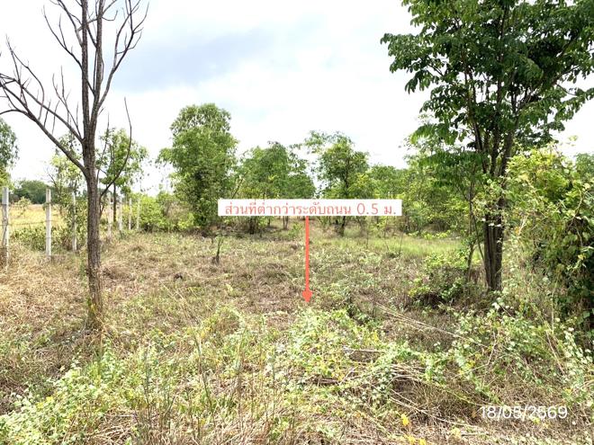 รูป ที่ดินว่างเปล่า 1600 ตร.วา หนองหญ้าไซ สุพรรณบุรี 1.6M - รูปที่ 7/20