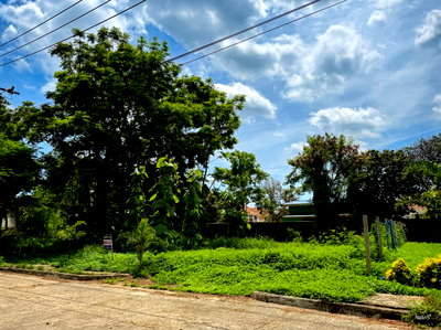 ขายที่ดิน : ขายที่ดินสร้างบ้าน 89 ตร.วา Forest Park คลองสามวา ใกล้ IFB ซาฟารีเวิลด์ กรุงเทพฯ