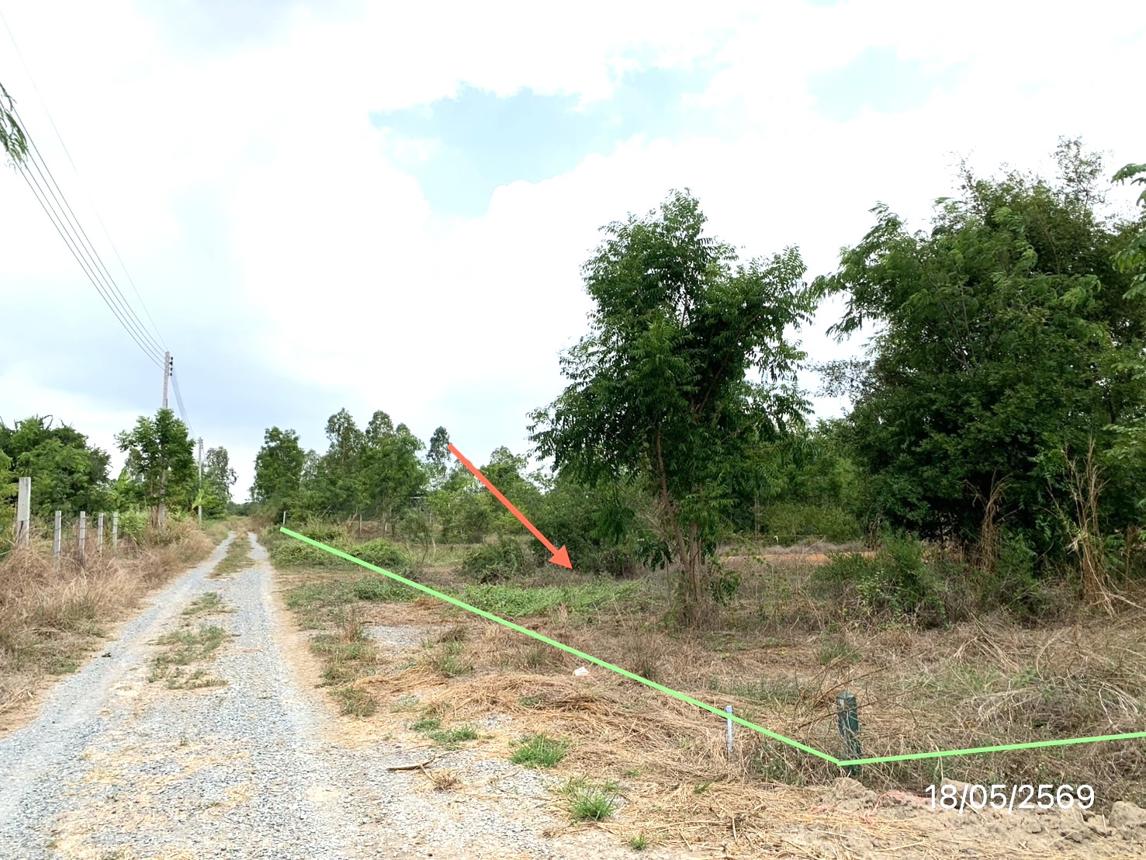 รูป ที่ดินว่างเปล่า 1600 ตร.วา หนองหญ้าไซ สุพรรณบุรี 1.6M - รูปที่ 11/20
