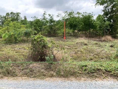 รูป ที่ดินว่างเปล่า 1600 ตร.วา หนองหญ้าไซ สุพรรณบุรี 1.6M - รูปที่ 17/20