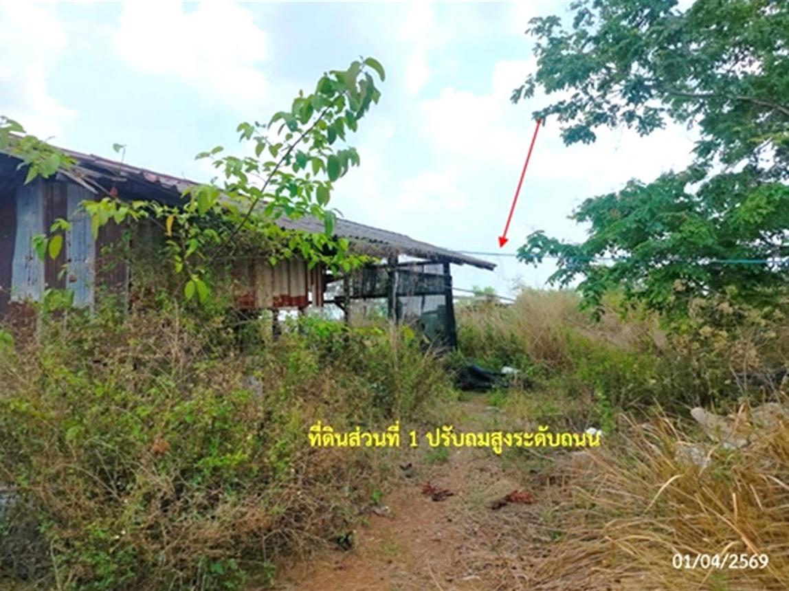 รูป บ้านเดี่ยว 2099 ตร.วา วานรนิวาส สกลนคร 2.2M - รูปที่ 11/16