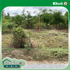 listing thumbnail image 17