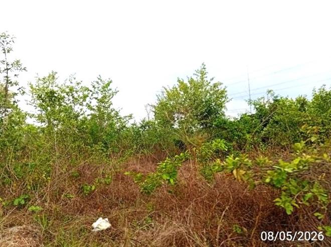รูป ที่ดินว่างเปล่า 3424 ตร.วา เมืองอุดรธานี อุดรธานี 5.2M - รูปที่ 5/20