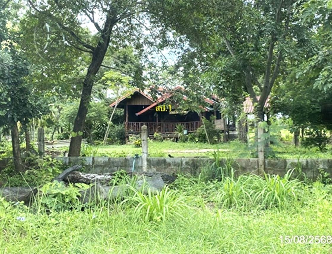 รูป บ้านเดี่ยว 4000 ตร.วา โกสุมพิสัย มหาสารคาม 4M - รูปที่ 12/22