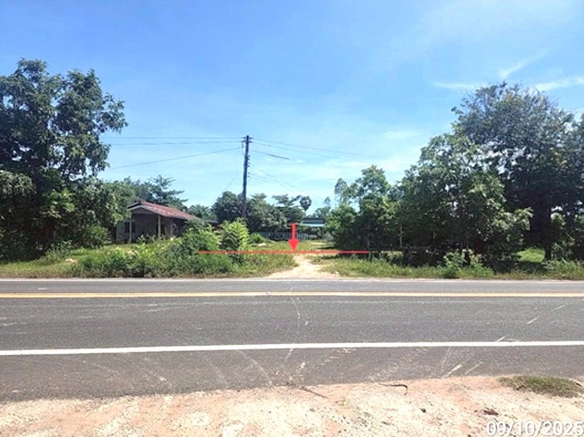 รูป บ้านเดี่ยว 214 ตร.วา โพธิ์ชัย ร้อยเอ็ด 1.6M - รูปที่ 6/12