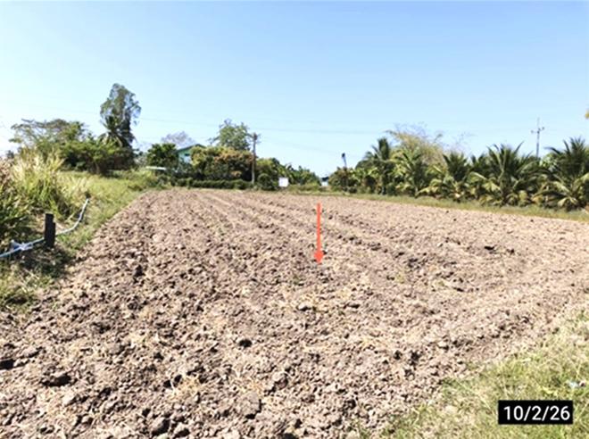รูป ที่ดินว่างเปล่า 212.4 ตร.วา เมืองขอนแก่น ขอนแก่น 850,000 - รูปที่ 7/20