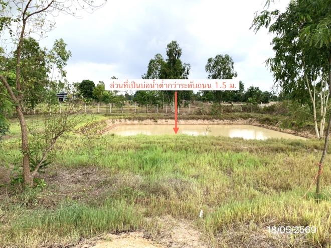 รูป ที่ดินว่างเปล่า 1600 ตร.วา หนองหญ้าไซ สุพรรณบุรี 1.6M - รูปที่ 8/20