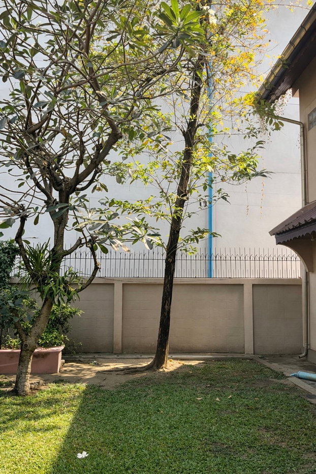 รูป LTH15707OP – PRICE DROP! Single House Sukhumvit  | Large Garden | Near BTS Ekkamai | NOW 29.5 MB | บ้านเดี่ยวสุขุมวิท 71 ลดราคาพิเศษ พร้อมสวนขนาดใหญ่ เหลือเพียง 29.5 ล้านบาท - รูปที่ 5/6