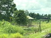 listing thumbnail image 17