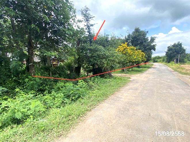 รูป บ้านเดี่ยว 4000 ตร.วา โกสุมพิสัย มหาสารคาม 4M - รูปที่ 6/22
