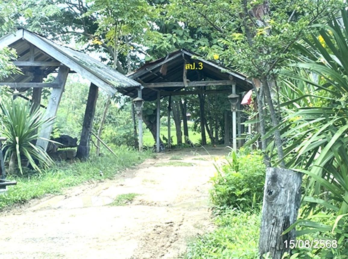 รูป บ้านเดี่ยว 4000 ตร.วา โกสุมพิสัย มหาสารคาม 4M - รูปที่ 13/22