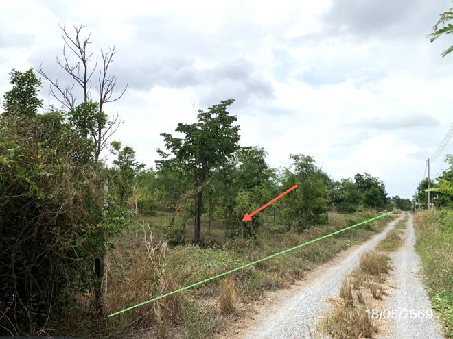 รูป ที่ดินว่างเปล่า 1600 ตร.วา หนองหญ้าไซ สุพรรณบุรี 1.6M - รูปที่ 4/20