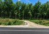 listing thumbnail image 3