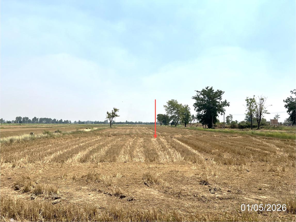 picture LAND 8167 Sq.w. Lan Krabu Kamphaeng Phet for 3.5M - 12/16