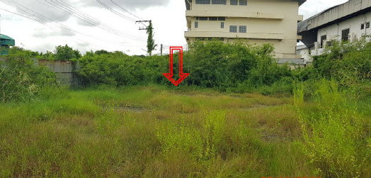 picture LAND 270 Sq.w. Phra Pra Daeng Samut Prakarn for 7.1M - 1/3