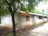 listing thumbnail image 10