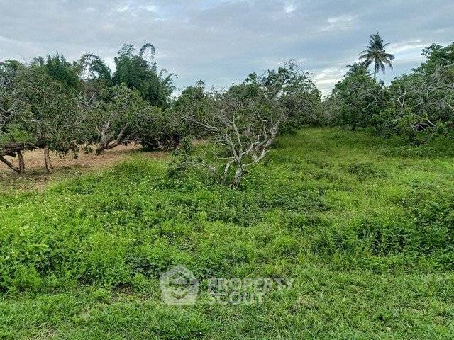 รูป ขายที่ดิน 429 ตร.ม. ใกล้ยางเนิ้ง สารภี เชียงใหม่ (ID 2980905) - รูปที่ 2/3