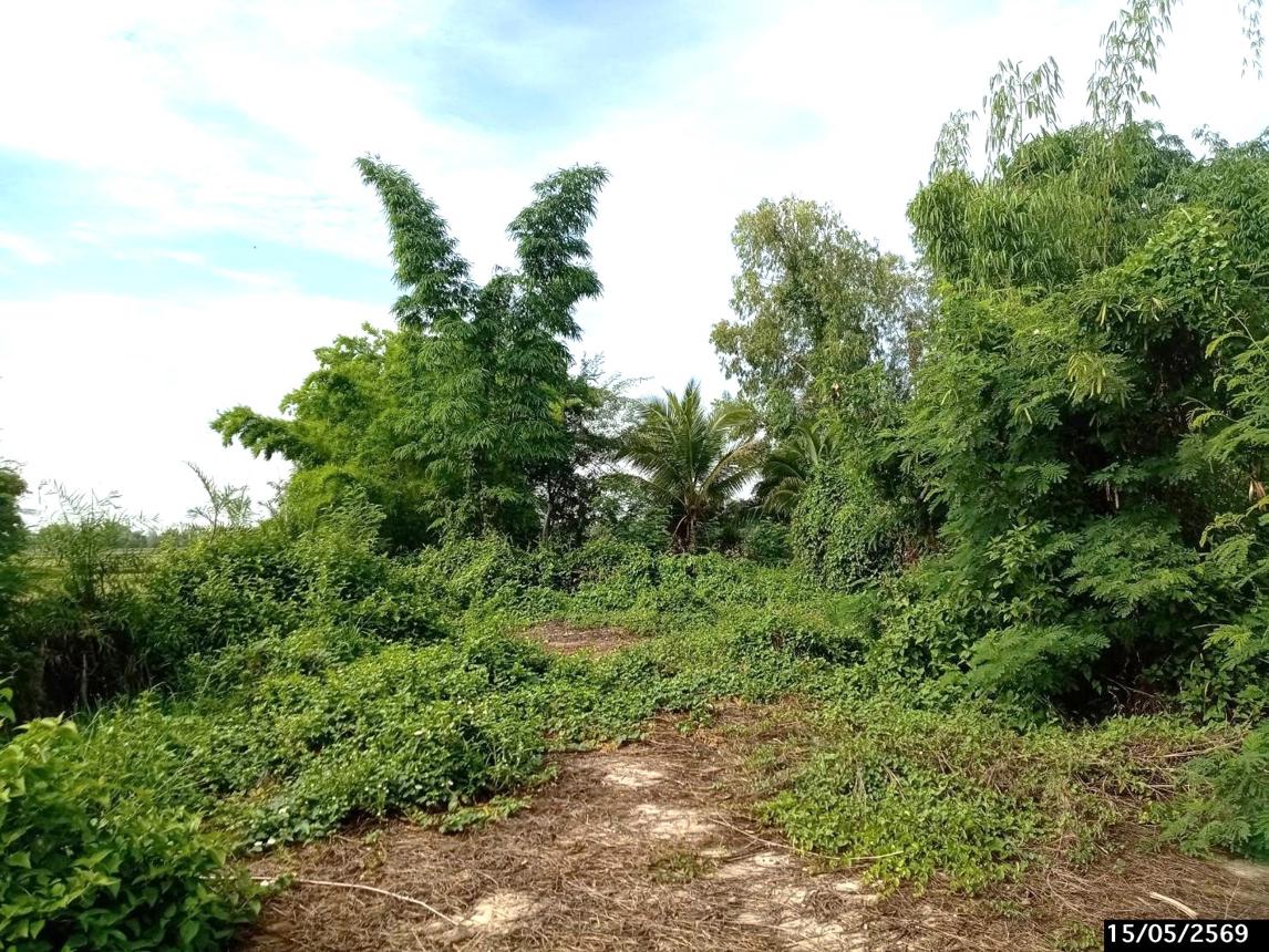 รูป ที่ดินว่างเปล่า 1124.3 ตร.วา เมืองสกลนคร สกลนคร 1.9M - รูปที่ 15/22
