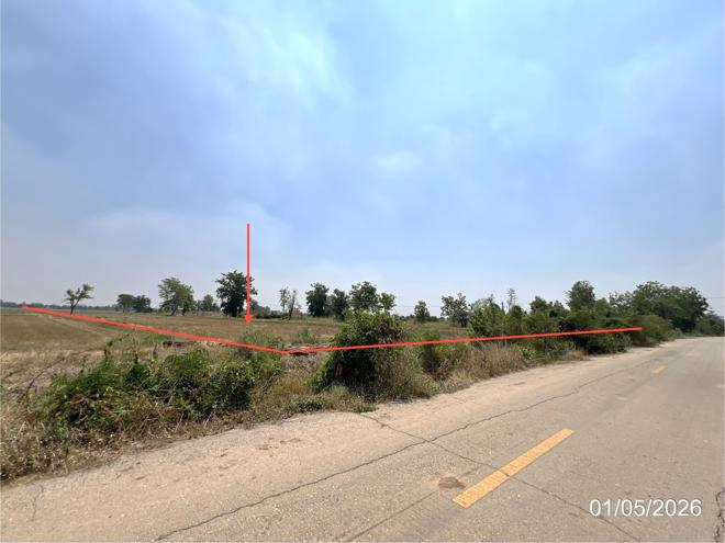picture LAND 8167 Sq.w. Lan Krabu Kamphaeng Phet for 3.5M - 3/16