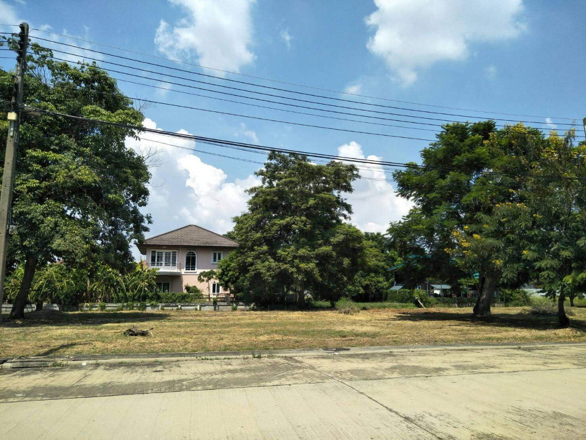 รูป ขายที่ดิน พร้อมปลูกบ้านอาศัย สามโคก ปทุมธานี ใกล้ตลาดโรงเกลือท้ายเกาะ เดอะลากูน 3 สามโคก (The Lagoon 3) - รูปที่ 2/5