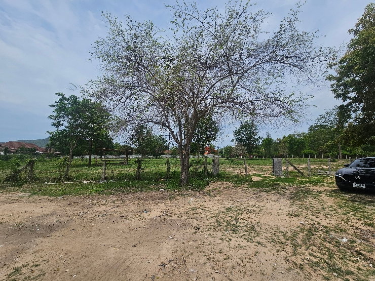 รูป ขายที่ดินหัวหินซอย 102 ที่สวย โลเคชั่นดีที่สุด - รูปที่ 5/9