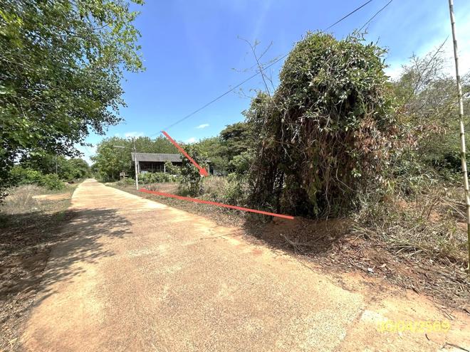 picture LAND 1777.2 Sq.w. Muang Ya Sothon Yasothon for 1.4M - 3/18