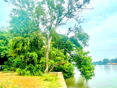 เช่าที่ดิน ราชบุรี : ที่ดินริมแม่น้ำแม่กลอง 2 ไร่ 110 ตร.ว.3,640 ตร.ม. ใกล้วัดหลุมดิน 350 ม. ใกล้รพ.สต.หลุมดิน 400 ม.