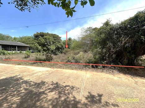 picture LAND 1777.2 Sq.w. Muang Ya Sothon Yasothon for 1.4M - 15/18