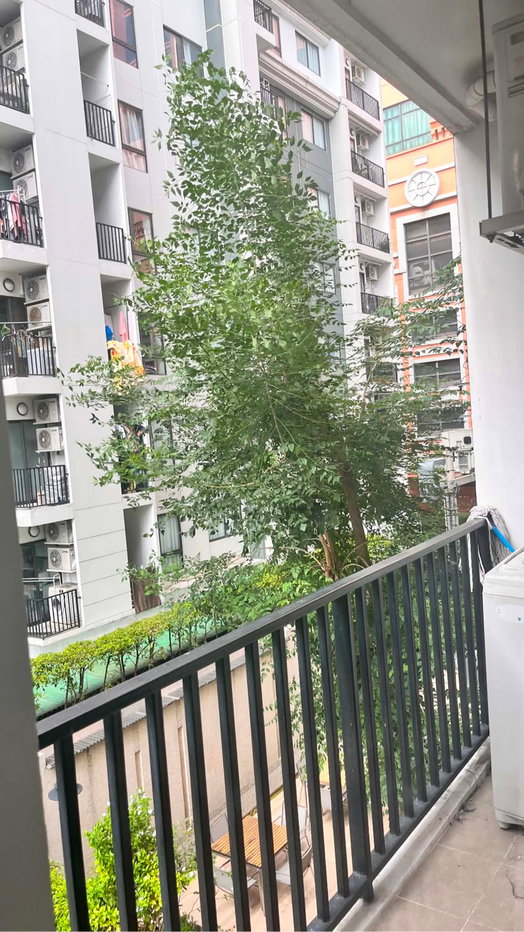รูป The Nest Sukhumvit 22 | 13,000 ต่อเดือน | ราคาถูกมาก ห้องไปไว - รูปที่ 8/8