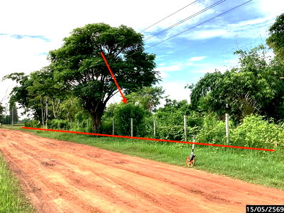 LAND 1124.3 Sq.w. Muang Sakon Nakhon Sakon Nakhon for 1.9M