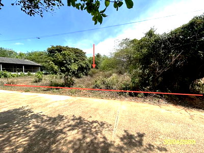 Land for sale Muang Ya Sothon Yasothon : LAND 1777.2 Sq.w. Muang Ya Sothon Yasothon for 1.4M