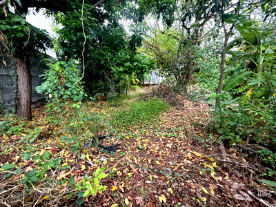 Land for sale Lam Luk Ka : Residential Land for Sale in Khu Khot, Lam Luk Ka – 372 sq.m. with 20m Frontage