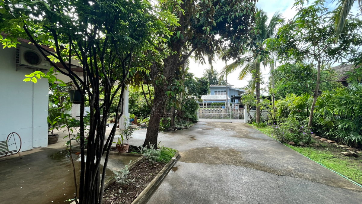 รูป บ้านเดี่ยวชั้นเดียว พร้อมพื้นที่สวนขนาดใหญ่ ใกล้โรงเรียนนานาชาติและ 89 พลาซ่า เชียงใหม่ - รูปที่ 13/20