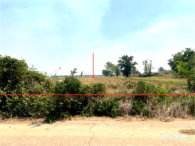 ที่ดิน กำแพงเพชร : ที่ดินว่างเปล่า 8167 ตร.วา ลานกระบือ กำแพงเพชร 2.5M