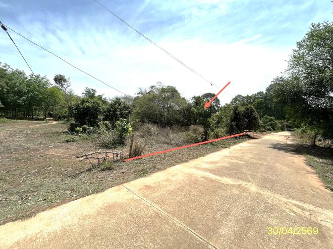 picture LAND 1777.2 Sq.w. Muang Ya Sothon Yasothon for 1.4M - 2/18