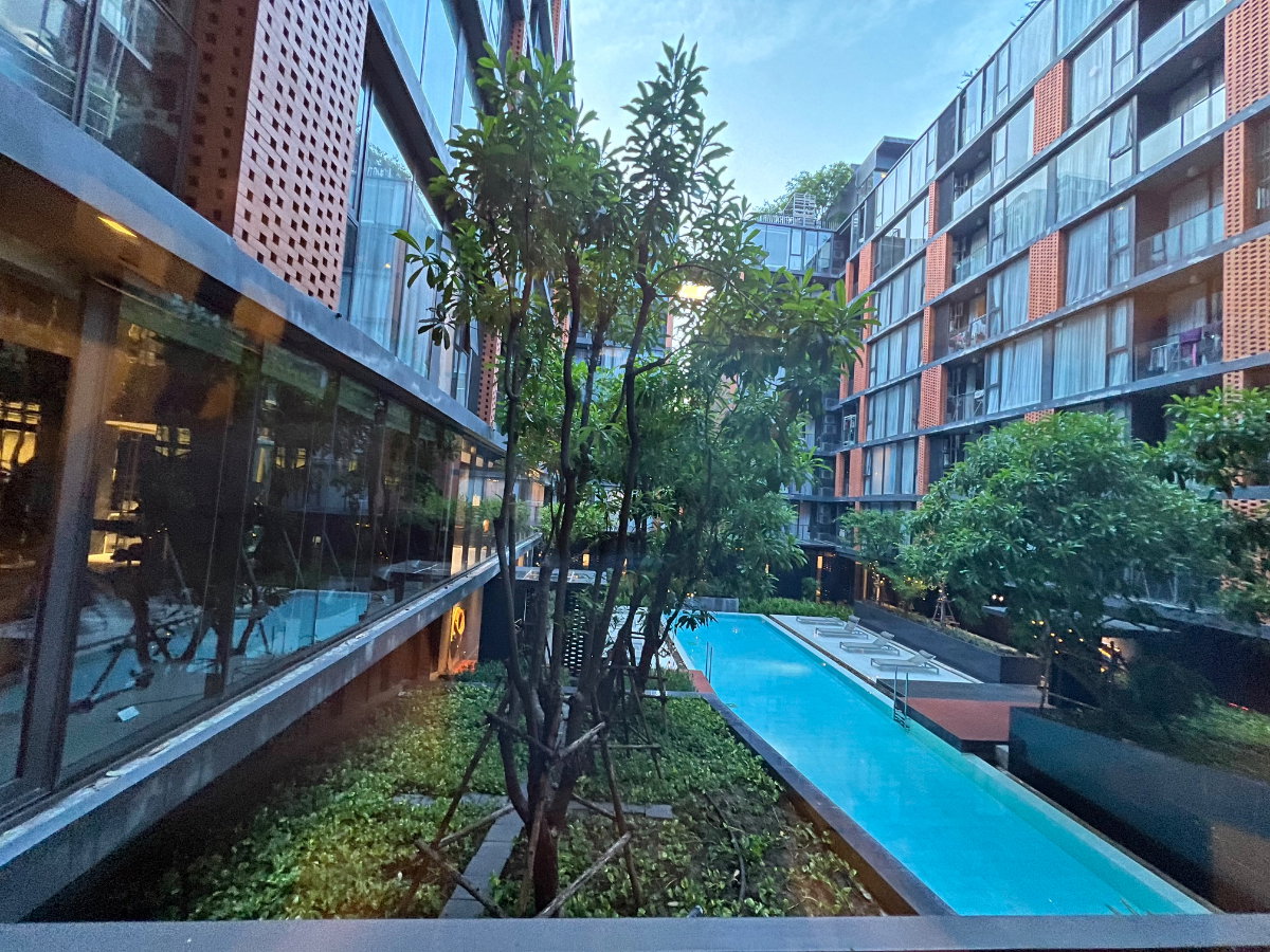 รูป ให้เช่า Quintara TreeHaus Sukhumvit 42 คอนโด Low-Rise ดีไซน์โดดเด่น ใกล้ BTS เอกมัย เพียงไม่กี่นาที พร้อมวิวสระว่ายน้ำส่วนกลางที่สวยที่สุดของโครงการ - รูปที่ 12/19