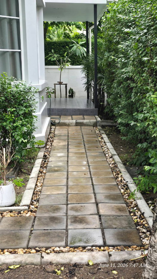 picture For Rent : Single House Chaiyaphruek Rangsit–Khlong 4 - 52/59
