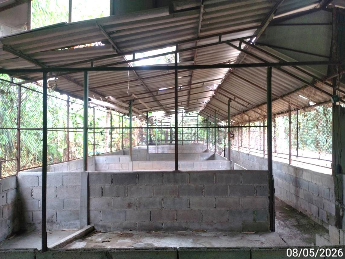 picture FACTORY 525 Sq.w. Chom Thong Chiang Mai for 1.4M - 15/22