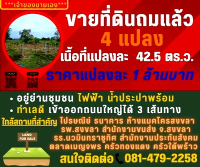 ที่ดิน เมืองสงขลา สงขลา : ขายที่ดินถมแล้ว 4 แปลง เนื้อที่แปลงละ 42.5 ตร.ว. ราคาแปลงละ 1 ล้านบาท 