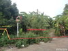 listing thumbnail image 17